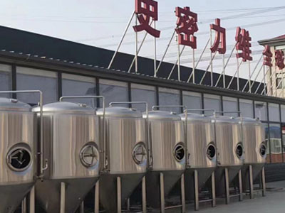 下冶镇精酿啤酒设备厂—如何判断精酿啤酒设备的密封件需要更换？